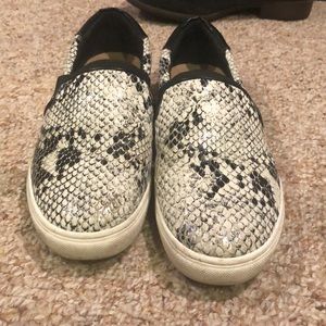 Women’s Steve Madden snake skin sneakers